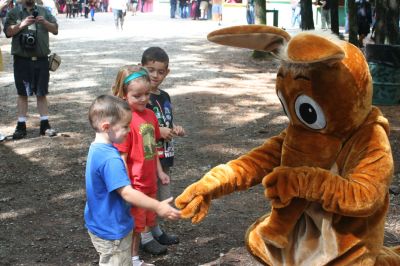 An Aardvark in King Richard's Court
The Wanderer Aardvark visits King Richard's Fair
