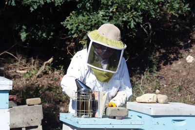 Honey I’m Home! 
This beehive is thriving thanks to the careful attention paid by local beekeeper Linda Rinta. Rinta gave a talk on bees and honey production in Marion on Saturday and invited us to her property on Sunday to observe her practicing her craft. 
