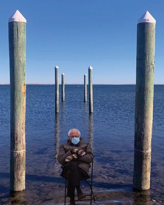 Bernie
Liz Garvey submitted her photo of a cold Bernie in mittens at Shining Tides.
