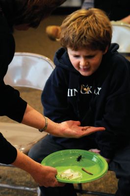 Bugworks
The Marion Natural History Museum provided an opportunity on February 27 to get up close and personal with critters from the insect world, including praying mantises and jumbo-sized grasshoppers. Above: Tapper Crete, 7, was the first one brave enough to ask to touch a praying mantis. The event was hosted by Maire Anne Diamond, owner and educator at ‘Bugworks.’ Photos by Felix Perez
