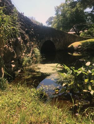River Road
Lois Cosgrove captured the ethereal beauty of late summer in Mattapoisett where the old River Road stone arch bridge crosses the Mattapoisett River.
