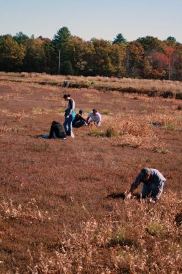Cranberry Outing
Perfect weather brought out the young and the young at heart to the second annual cranberry harvest at “The Bogs” on Acushnet Road in Mattapoisett, a Buzzards Bay Coalition property. The retired bog acreage is slowly returning to meadows and woodlands. But for now cranberries continue to grow giving the do-it-yourself harvester a chance to enjoy nature’s bounty. Photos by Marilou Newell
