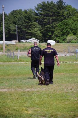 SouthCoast Working Dog Club
The SouthCoast Working Dog Club held a three-day Schutzhund trial at the Rochester Country Fairgrounds on May 27-29. The event is a competition in training, tracking, obedience, and protection for working breeds of dogs. Training Director Mario Gomes’ German shepherd, “Caribou,” is headed to the World Championship in Slovenia to represent the USA. Photos by Jean Perry and Denzil Ernstzen
