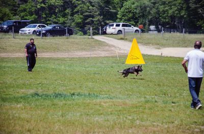 SouthCoast Working Dog Club
The SouthCoast Working Dog Club held a three-day Schutzhund trial at the Rochester Country Fairgrounds on May 27-29. The event is a competition in training, tracking, obedience, and protection for working breeds of dogs. Training Director Mario Gomes’ German shepherd, “Caribou,” is headed to the World Championship in Slovenia to represent the USA. Photos by Jean Perry and Denzil Ernstzen
