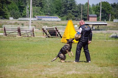 SouthCoast Working Dog Club
The SouthCoast Working Dog Club held a three-day Schutzhund trial at the Rochester Country Fairgrounds on May 27-29. The event is a competition in training, tracking, obedience, and protection for working breeds of dogs. Training Director Mario Gomes’ German shepherd, “Caribou,” is headed to the World Championship in Slovenia to represent the USA. Photos by Jean Perry and Denzil Ernstzen
