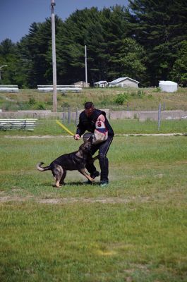 SouthCoast Working Dog Club
The SouthCoast Working Dog Club held a three-day Schutzhund trial at the Rochester Country Fairgrounds on May 27-29. The event is a competition in training, tracking, obedience, and protection for working breeds of dogs. Training Director Mario Gomes’ German shepherd, “Caribou,” is headed to the World Championship in Slovenia to represent the USA. Photos by Jean Perry and Denzil Ernstzen
