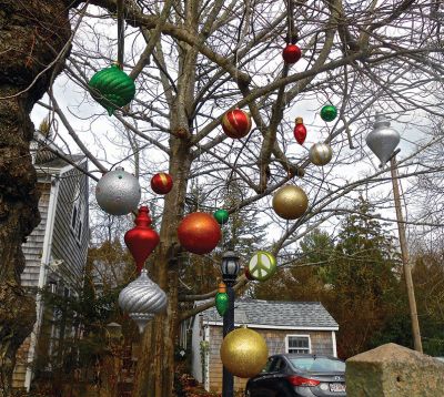 Tree Decorations
Teresa Dall sent in a photo of the grand ornaments adorning her yard on North Street in Mattapoisett.
