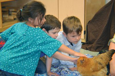 Dorothy the chicken
Dorothy the chicken visited the Project Grow students (pictured here) and the kindergarten kids on Monday, November 6, for a story time hosted by Evelyn Golden and Molly Vollmer of the Plymouth County Extension 4-H Office. This brief intro to embryology, along with Dorothy’s charming demeanor, was enough to excite the kids about the joys of keeping chickens. Photos by Jean Perry
