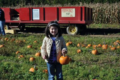 On the Farm
Sippican Elementary Schools Kindergarten class enjoyed a hayride and some fall harvest goodies during a field trip to a local farm in mid-October. Photos courtesy of Sarah Goerges
