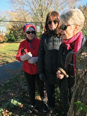 Marion Tree Committee
Members of the Marion Tree Committee and Marion Garden Group joined forces on November 26 to place identification plates on trees planted by the town. The plates were provided by the Garden Group. From left: Karilon Grainger, Suzy Taylor and Sylvia Strand. Photos by Marilou Newell
