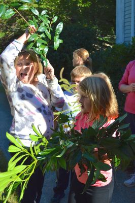 Sippican School Garden Club
Members of the Sippican School Garden Club have been busy this harvest season caring for their vegetables, herbs, and flowers after school. On September 23 it took ten enthusiastic little gardeners to pull up a ten-foot tall sunflower and carry it to “Weed Mountain.” After, the kids collected greens, grasses, and flowers to make an arrangement for the main office. Photo by Jean Perry
