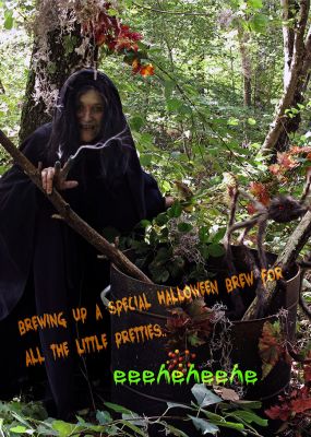2016 Halloween Cover Contest
2016 Halloween Cover Contest entry by Jeanne Sylvester
