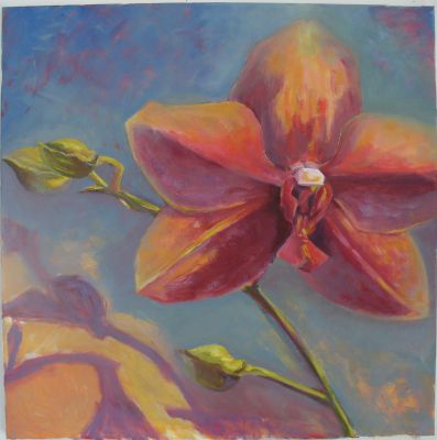 MAC Show
Kim Barry, Mattapoisett resident and artist, will have an exhibition at the Marion Art Center starting on October 9. Well-known for her ceramic work, this is the first time that Ms. Barry will have an all-painting show. Pictured here is her painting called Orchid.
