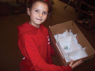 Shell Collection
Molly Kracke works on her shell collection at the Marion Natural History Museum during an after-school program on October 21.
