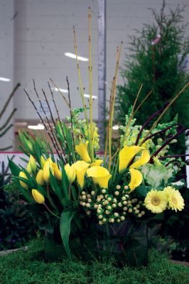 Habitat for Humanity Home and Garden Show
Beautiful flower arrangements served as reminders of the bursts of color and life we will soon be seeing across New England this spring.

