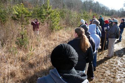 Nasketucket Bay State Reservation
Dozens of area hikers gather around to listen to Amy Wilmot (far left) of the Department of Conservation and Recreation explain the differences between a white pine and a pitch pine at Nasketucket Bay State Reservation during a walk focused on identifying thriving winter plants on Sunday, January 21, 2013.  Photo by Eric Tripoli.
