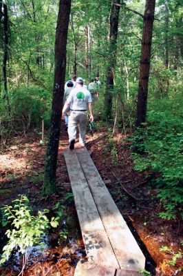 Eastover Trail
A boardwalk stretches through "Eastover South", a new Marion hiking trail that is being built by the Trustees of Reservation and a group of local volunteers. Photo by Robert Chiarito
