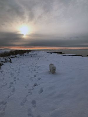 Sunrise
Jack Eklund shared a picture of the sunrise on Tuesday.
