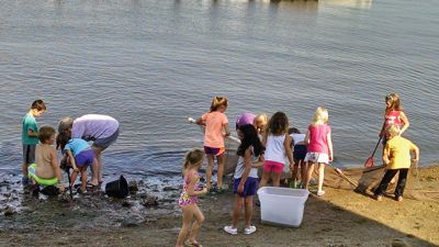 Marion Natural History Museum
The Marion Natural History Museum afterschool group hit the beach Wednesday afternoon.  We found many types of fish, including Puffer fish, Tautogs, and other animals such as Mantis shrimp, and all sorts of crabs. It was a great way to celebrate one of the last days of summer. Many thanks to Sarah Porter and all those parents who helped out. Photo courtesy Elizabeth Leidhold

