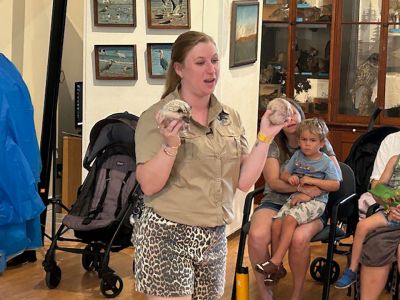 Marion Natural History Museum
The Marion Natural History Museum hosted Bethany Boucher of Amazing Animal Ambassadors Monday afternoon. We met Milo the Fennec Fox and had a chance to compare attributes of Peter Quill the hedgehog to Iris the tenrec. We also met a skunk, a ferret, and a very friendly chinchilla. Many thanks to the Marion Cultural Council for partially funding this event. Photos courtesy Elizabeth Leidhold
