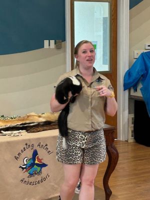 Marion Natural History Museum
The Marion Natural History Museum hosted Bethany Boucher of Amazing Animal Ambassadors Monday afternoon. We met Milo the Fennec Fox and had a chance to compare attributes of Peter Quill the hedgehog to Iris the tenrec. We also met a skunk, a ferret, and a very friendly chinchilla. Many thanks to the Marion Cultural Council for partially funding this event. Photos courtesy Elizabeth Leidhold
