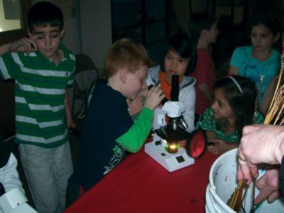 Marion Natural History Museum
Arianna Bessey and the rest of the Marion Natural History Museum’s after school group used microscopes to investigate some of the amphibians collected for the program. Photo courtesy of Elizabeth Leidhold
