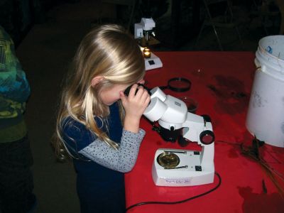 Marion Natural History Museum
Arianna Bessey and the rest of the Marion Natural History Museum’s after school group used microscopes to investigate some of the amphibians collected for the program. Photo courtesy of Elizabeth Leidhold
