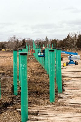 Shared-Use Path
One year after Acushnet-based builder D.W. White was contracted at $6.7 million by the Massachusetts Department of Transportation in February 2019 to build Phase 1b of the “Shared-Use Path”, trees have been cleared and pilings installed, setting the table for imminent construction of a wooden bridge over the marshlands in Mattapoisett. Photo by Ryan Feeney February 20, 2020 edition

