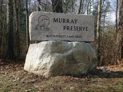 Murray Preserve
The Mattapoisett Land Trust placed a stone monument last week to mark the seven-acre wetlands donated to the MLT by Jeanette Mello in December 2011. The monument is located along the bike path near the Brandt Island Road crossing. Photo by Jean Perry
