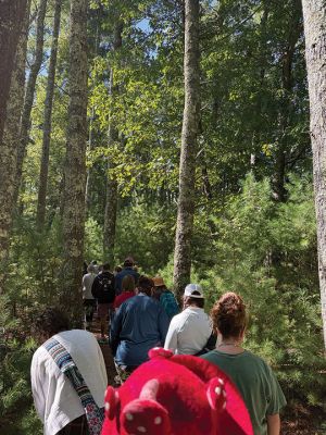 Woodland Walk for Mushrooms
Marion Natural History Museum hosted mycologist Adam Korejwa on September 13. Korejwa conducted a Woodland Walk for Mushrooms event at Shoolman Preserve in Rochester. Bolete, russula, honey, ghost pipe, and cauliflower mushrooms were all spotted, along with countless others. Whether it be on the ground, on a waterlogged fallen tree, or up the side of a living host-tree, mushrooms seemed to be all about. Roughly 40 people showed, including members of mycological societies, amateur enthusiasts, Rhode Islander
