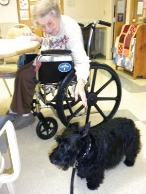 Pet Therapy
97-year-old LIllian Corrado pets Abby, a Scottish Terrier and Therapy Dog that visits the Sippican Health Center in Marion every Friday.  Photo by Joan Hartnett-Barry.
