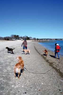 Dog Days of Winter
Marion residents braved the blustery conditions to spend a few minutes of their weekend walking with their best friends on Silvershell Beach. By Robert Chiarito
