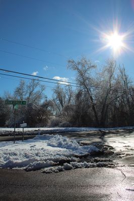 Sticky Snow
Preceded by rain, the snow that fell on the Tri-Towns was wet and sticky, as seen on the icy tree limbs melting in the Monday afternoon sun in Rochester. Photos by Mick Colageo
