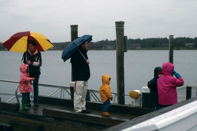 Santa's Arrival
Marion children gave a rock stars welcome to Santa Claus, who arrived at Marions Annual Holiday Stroll by boat on December 13. The pouring rain didnt stop Santa from spreading candy and holiday cheer to the crowd of exciting children. Clydesdale horses waited patiently to take visitors on a stroll through the village, and the town Christmas tree was lit at Bicentennial Park. Photo by Anne OBrien-Kakley.
