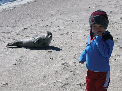Mattapoisett Seel
Lauren Czerkowicz shared this photo of a seal on the Mattapoisett Town Beach on Tuesday with her son Henry
