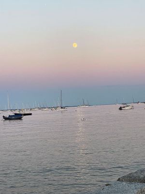 Moonrise
Moonrise over Mattapoisett Harbor. Photo by Je Shepley
