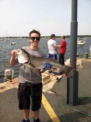 The Big Fish
A 36 inch Striper caught on Saturday, June 22 by Lucas Parker of Rochester. The proud Angler caught the fish off the end of Long Wharf in Mattapoisett around high tide.  Photo courtesy Horace Field Harbormaster
