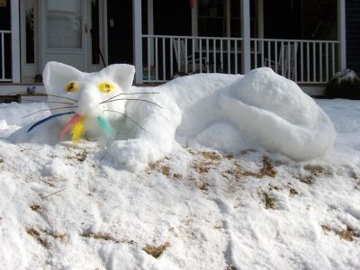 Snow Cat
Ruth and Rachel Bates attempted to simulate the feeling of the Arctic in Mattapoisett with their polar bear and cat snow creations in late January 2011. Photo courtesy of Bodil Perkins. 
