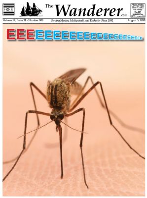 Eeeeeeee
Eastern Equine Encephalitis (EEE) is on everyones minds this week as the state grapples with how to address the high levels of EEE found in mosquito samples. The Mattapoisett, Marion and Rochester Boards of Health canceled all evening activities on town grounds, and announced 6:00 pm closures of ball parks, playgrounds and town beaches as a result of what the state is calling a public health threat. 
