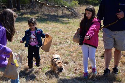 Ned’s Point Easter
The sky was blue above the greening grass on that sunny spring Mattapoisett morning by the sea. On April 12, families gathered at Ned’s Point to celebrate Easter early with a traditional Easter egg hunt, sponsored by the Mattapoisett Lions Club. The Easter Bunny hopped over for a visit, giving children hugs and high-fives as parents scurried to take photos and comfort the smaller ones who were a little reluctant to approach. Photo by Jean Perry
