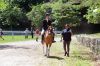 MarionHorseShow_7611.jpg