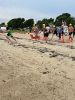 Filename=Triathlon_Pina_3108.jpg
Filesize=136KiB
Dimensions=540x720
Date added=Jul 30, 2025 Triathlon_Pina_3108.jpg
