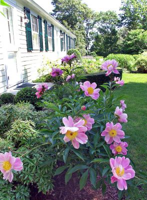 Gardens by the Sea
Just one of the impressive and colorful private gardens in Marion that will be open for tours during the fourth annual Gardens by the Sea sponsored by Saint Gabriels Episcopal Church. The event will take place on Friday, June 30, with gardens open from 10:30 am to 4:30 pm. (Photo by and courtesy of Laura McLean).
