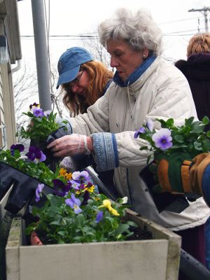 A Touch of Spring
The Garden Group of the Mattapoisett Woman's Club took time last week to add a touch for spring to the window boxes at the post office. The woman's club also maintains the flowers outside the Town Hall, the Library, Mattapoisett Museum and Carriage House, and the Triangle (Rte. 6). Those helping out with the project included Sandy Hering (back on the left) and Estelle Jacobson (on the right), and not pictured: Marilyn Flood,  Priscilla Hathaway, Peg Olney, and Lee Yeaton. (Photo by Paul Lopes) April 9, 2009 edition
