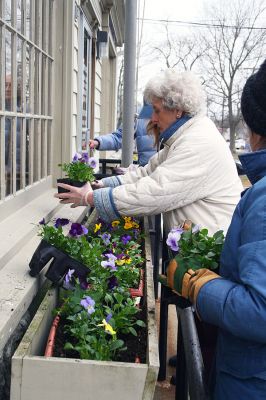 A Touch of Spring
The Garden Group of the Mattapoisett Woman's Club took time last week to add a touch for spring to the window boxes at the post office. The woman's club also maintains the flowers outside the Town Hall, the Library, Mattapoisett Museum and Carriage House, and the Triangle (Rte. 6). Those helping out with the project included Sandy Hering (back on the left) and Estelle Jacobson (on the right), and not pictured: Marilyn Flood,  Priscilla Hathaway, Peg Olney, and Lee Yeaton. (Photo by Paul Lopes)
