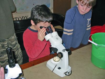 Viewing Vernal Pools
Luke Gauvin examines a specimen under the microscope during the Marion Natural History Museums recent program on Vernal Pools, held at the museum above the Elizabeth Taber Library. The program focused on the various insect, plant and animal life in the local vernal pools. (Photo by Nancy MacKenzie).
