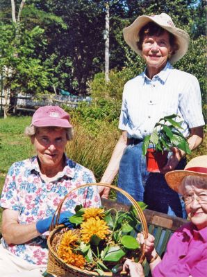 Cultivating Compassion
Pat Olney, Jean Kittridge and Barbara Whalen of the Garden Group ladies of the Mattapoisett Womens Club, have been busy digging, dividing, and baking to benefit the hurricane victims. The group will hold a small plant sale/auction on Saturday, October 8 at 10:00 am at Dunseith Gardens on the corner of Route 6 and North Street in Mattapoisett, with all proceeds to benefit the American Red Cross.
