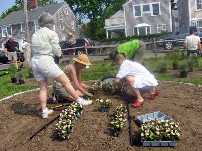 Logo Planting
On Saturday, May 26, members of the town's 150th Birthday Garden Club planted a special 150th birthday garden at the Town Wharf.  The garden that they created is a planted recreation of the logo for the town's birthday. (Photo by Danny White).

