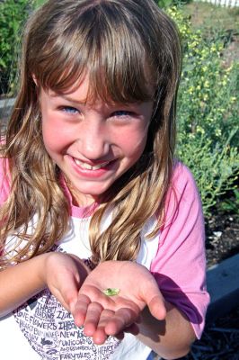 Student Gardener
Student Megan Hayes displays her wonder at the size of a lettuce seed she found in the Sippican School garden which was planted at the end of last school year and cultivated throughout the summer by students and their families. (Photo by Jane McCarthy).
