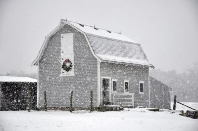 Dreaming of a White Christmas
This barn, photographed on December 26, 2010, was part of the original Riverside Farms, a dairy farm that stretched along River Road. It was built in the late 1930s by Manuel R. Nunes, Sr. when an agricultural law was passed to segregate horses from dairy cattle. His son, Manuel R. Nunes, Jr. was the Mattapoisett Highway Surveyor for many years. The barn is still in use today for horses and hay storage by Nunes descendants, still living along River Road. Photo by Tim Smith.

